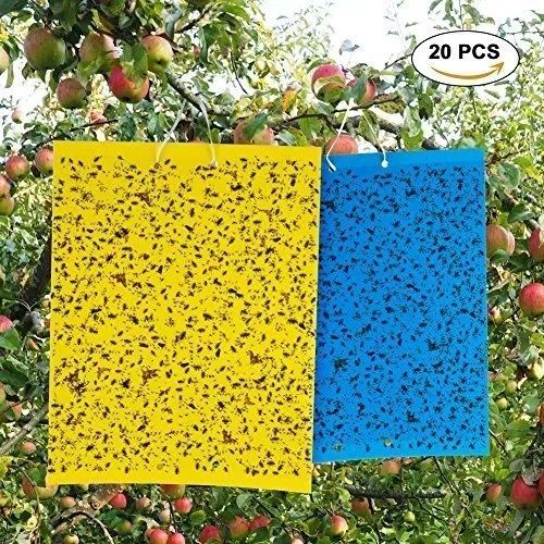 Agronom Pp Yellow/Blue Coated Fly Insect Sticky Traps