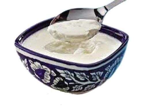 White Original Flavor Raw Hygienically Packed Curd