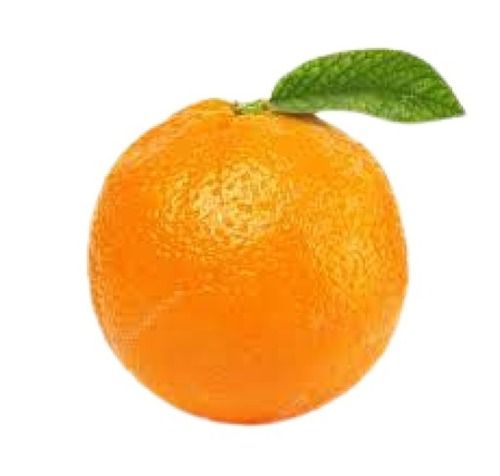 Common Farm Fresh Round Shape Sweet Orange