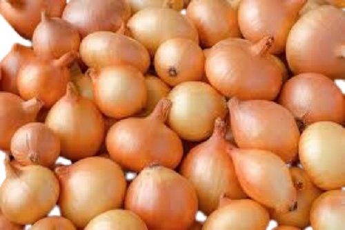 Farm Fresh Nutrient Rich Round Brown Raw Onions