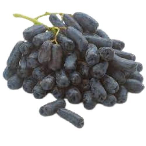 Indian Origin Farm Fresh Naturally Grown Black Grapes