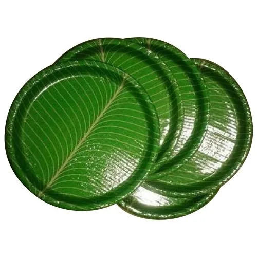 Round Shape Disposable Green Paper Plates For Serving Food