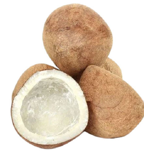 Natural Dried Organic Young Whole Coconut Copra Dryfruit