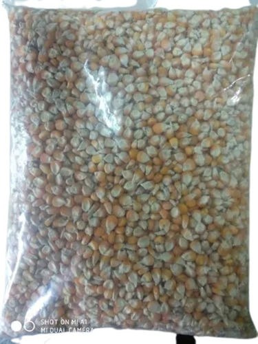 Commonly Cultivated Natural Raw Pure Dried Maize (Corn) Pearl Millet For Cooking Admixture (%): 2.5%.