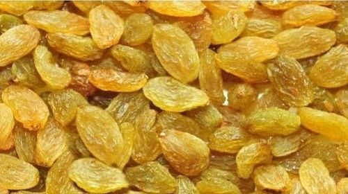 Healthy And Nutritious Sweet Taste Golden Dried Kismis Or Raisin
