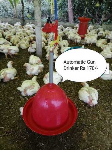 Red Automatic Gun Feeding/Drinking For Poultry Farm By Rj Poultry Equipment