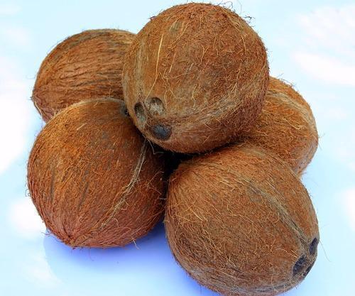  भोजन के लिए एक ग्रेड छोटा भूरा भूसा हुआ सूखा नारियल 
