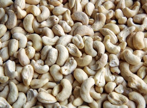 Common Cultivated Natural And Organic Pure Tasty Fresh Healthy Raw Cashew Nuts