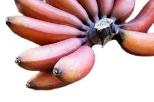 Fresh Commonly Cultivated Naturally Grown Sweet Red Banana 