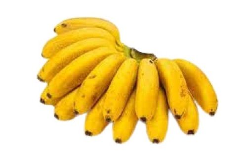 Non Glutinous Commonly Cultivated Healthy Sweet Tasty Banana