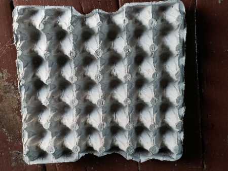 White Paper Pulp Egg Tray