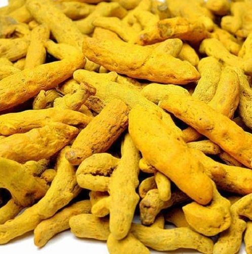 100% Natural And Fresh Dried Spicy Taste Organic Turmeric Finger 