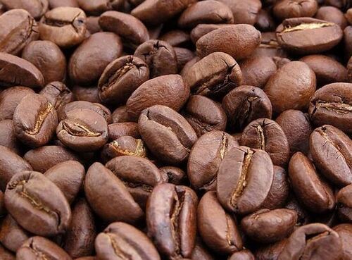 Commonly Cultivated Strong Taste Granules Form Coffee Beans With 12 Months Shelf Life 