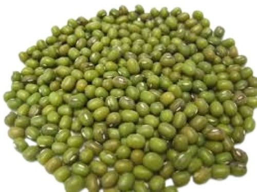 100% Pure Oval Shape Dried Green Moong Dal For Cooking Use