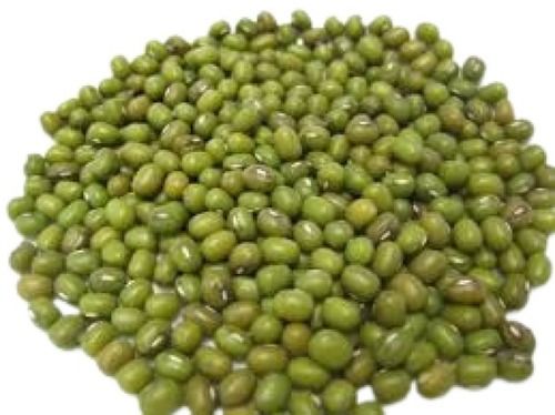 100% Pure Oval Shape Dried Green Moong Dal For Cooking Use Broken (%): 1%