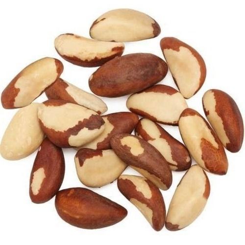 7% Moisture Buttery Fresh Commonly Cultivated Brazil Nuts