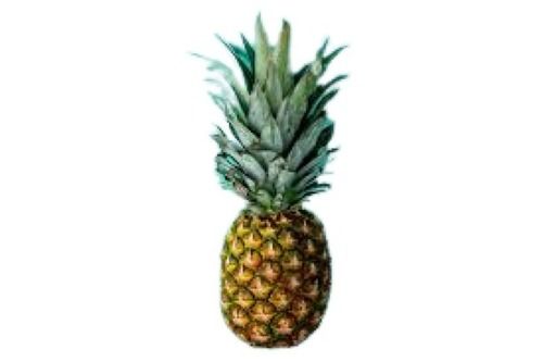 A Grade Sweet Taste Fresh Pineapple Fruit