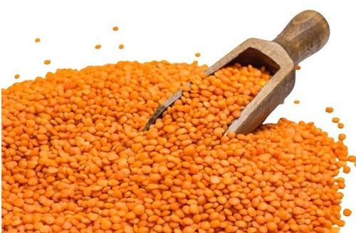 Commonly Cultivated Pure And Natural Dried Whole Raw Red Lentils