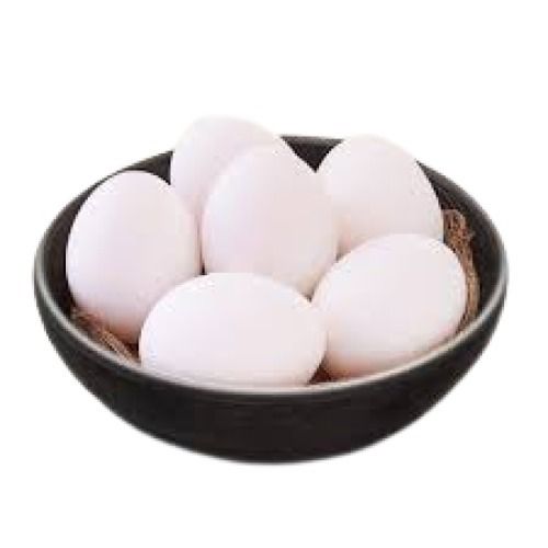 Healthy Natural Hatching Poultry Chicken Fresh Egg (Pack Of 100 Piece)
