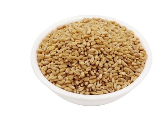 Pure And Natural Commonly Cultivated Raw Dried Whole Wheat Grain