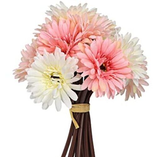 Multicolor 30 Centimeter Decorative Fresh Gerbera Flower Bunch