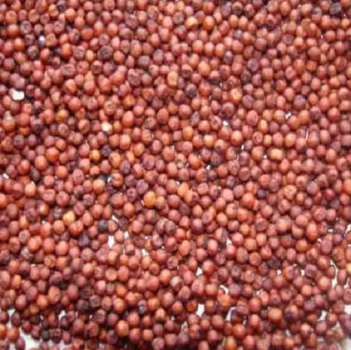 99% Purity Soft Texture High In Protein Organic Ragi Seed  Admixture (%): 2 %