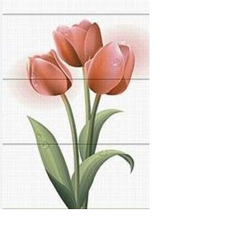 Multi Color Tulip Flower Design Non-Slip A Grade Polished Wall Tiles