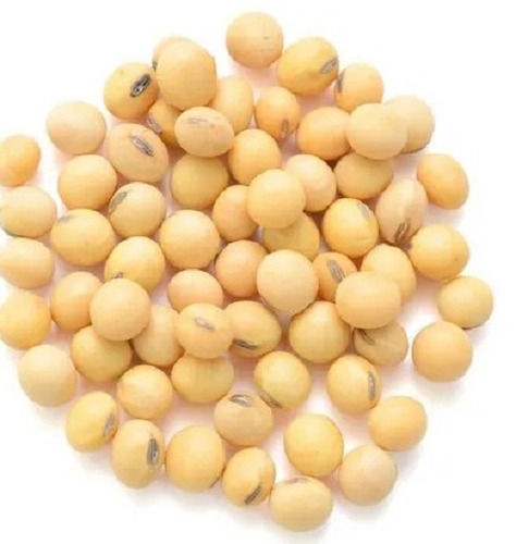 96% Pure And Sunlight Dried Commonly Cultivated Hybrid Soybean Seed  Admixture (%): 1%