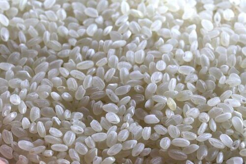  सूखे और शुद्ध सामान्य रूप से उगाए जाने वाले छोटे दाने वाले सफेद चावल 
