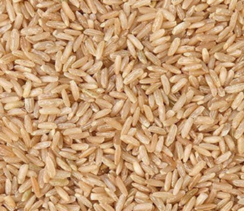 Pure And Dried Organic Cultivated Indian Origin Medium Grain Brown Rice Admixture (%): 0.3%