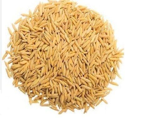 100% Pure Fresh And Healthy Short Grain Dried Organic Paddy Rice