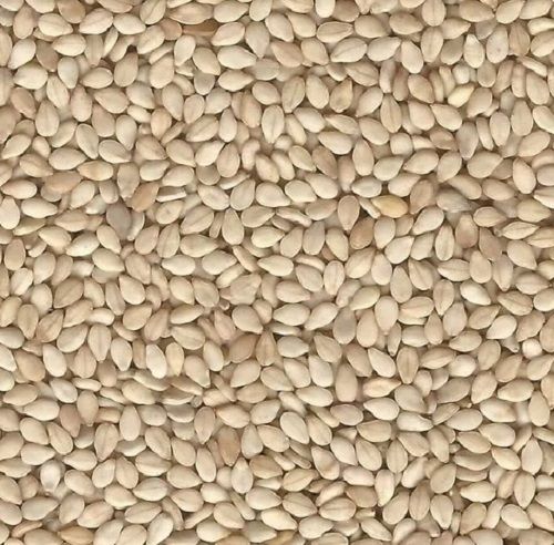 Commonly Cultivated Raw And Dried Sesame Seeds Admixture (%): 0%