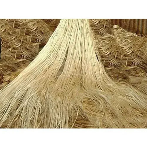 1.5 G/Cm3 Recyclable And Eco Friendly Natural Dried Raw Jute