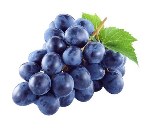 Delicious Commonly Cultivated Healthy Round Shape Sweet Fresh Black Grapes