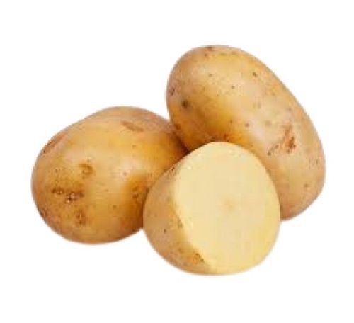 Raw Processing Oval Shape Fresh Naturally Grown Potato For Cooking And Many Purposes Preserving Compound: Dry Place