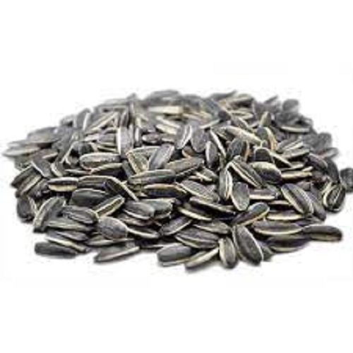 A Grade Common Cultivated Indian Origin 100 Percent Purity Sunflower Seeds