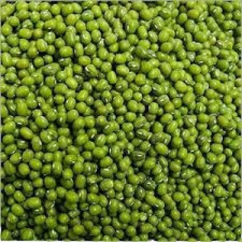 100% Pure Indian Origin Oval Shape Commonly Cultivated Dried Moong Dal