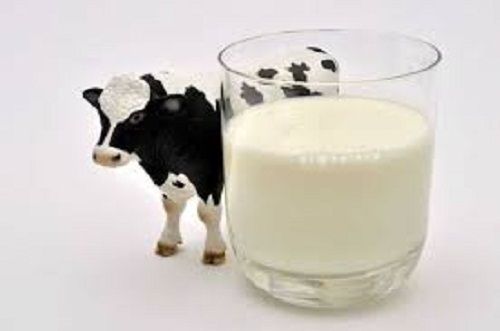  बोतल की पैकेजिंग में 100% शुद्ध ऑर्गेनिक रॉ प्रोसेसिंग गाय का दूध 