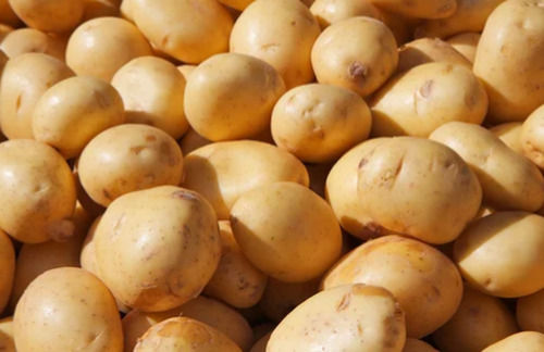 A Grade Indian Origin Naturally Grown Freeze Dried Seasoned Potatoes