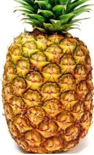A Grade Indian Origin Naturally Grown Pure And Natural Sweet Pineapple