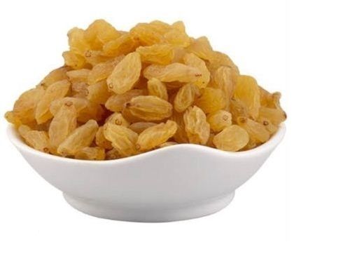 A Grade Sweet Flavour Ovel Shape Healthy And Fresh Golden Raisins