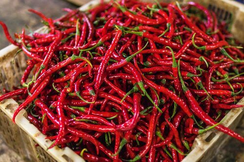 Hot And Spicy Taste Organic Red Chilli For Cooking Use