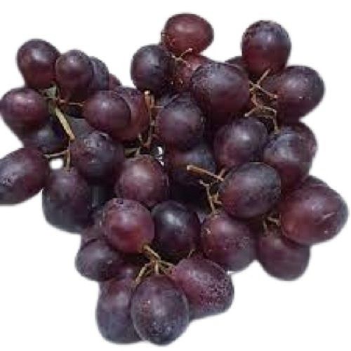 Common Indian Origin Natural Sweet Taste Round Shape Medium Sized Black Grapes