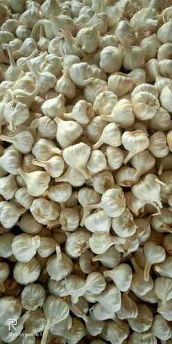 100% Clean Farm Fresh White Whole Garlic (Lehsun) For Cooking