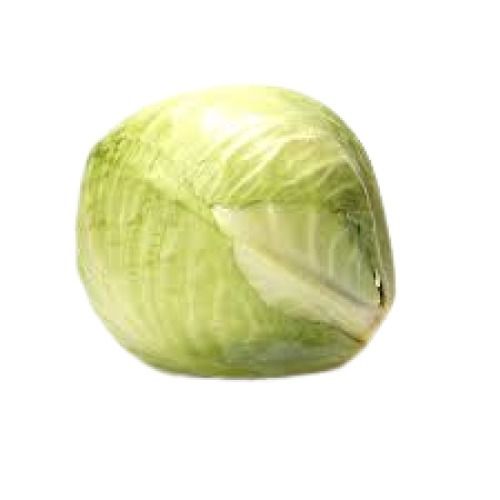 Farm Fresh Naturally Grown A-Grade Raw Cabbage