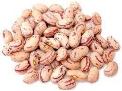 Maroon Healthy And Fresh Kidney Chitra Rajma Beans For Cooking Use