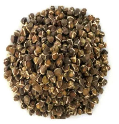 Pure Organic Dried Raw Vegetable Drumstick Seeds