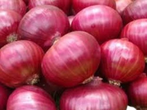 Round Shape Farm Fresh Raw Processing Red Onion For Cooking Purpose Moisture (%): 94%