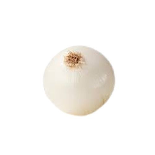 Farm Fresh Naturally Grown Sun Dried White Onion Shelf Life: 1 Week