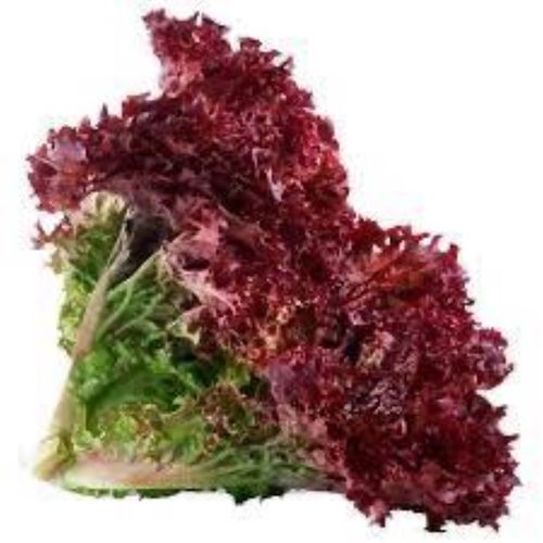 Fully Fresh 50% Moisture Natural Grown Raw Lettuce Preserving Compound: Cool & Dry Places